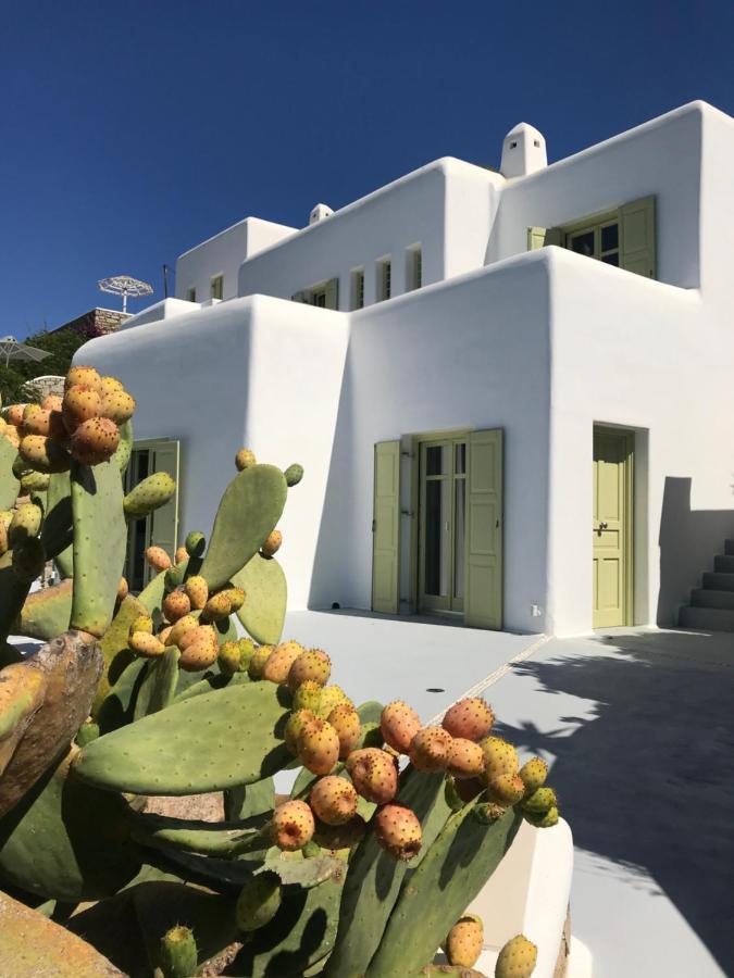 Villa Agnes Mykonos Mykonos Town 外观 照片